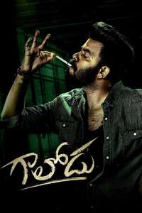 Gaalodu - Posters