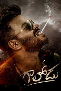 Gaalodu - Posters