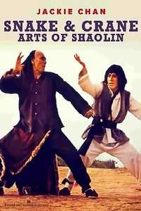 Snake and Crane Arts of Shaolin - Poster