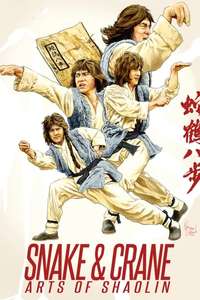 Snake and Crane Arts of Shaolin - Poster