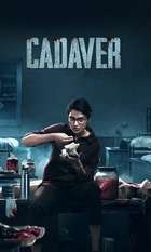 Cadaver