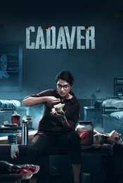 Cadaver