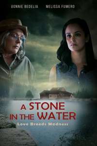 A Stone in the Water - Poster