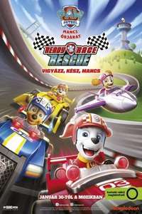 Paw Patrol: Ready  Race  Rescue! - Posters