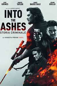 Into the Ashes - Poster