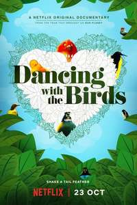 Dancing with the Birds - Posters