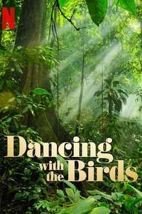Dancing with the Birds - Posters