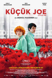 Little Joe - Poster