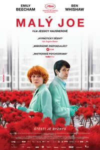 Little Joe - Poster