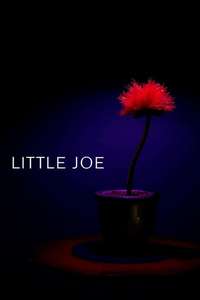 Little Joe - Poster