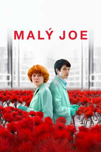 Little Joe - Poster