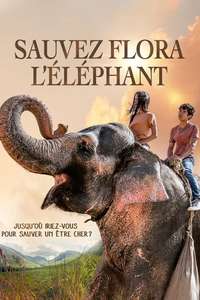 Saving Flora - Poster