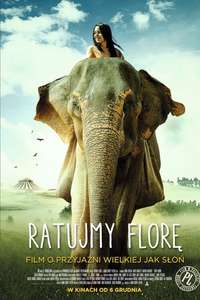 Saving Flora - Poster