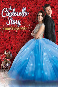 A Cinderella Story: Christmas Wish - Poster