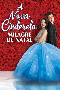 A Cinderella Story: Christmas Wish - Poster