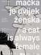A Cat Is Always Female