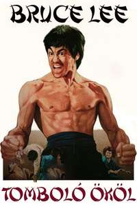Fist of Fury - Poster