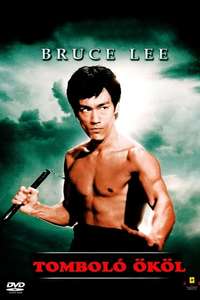Fist of Fury - Poster