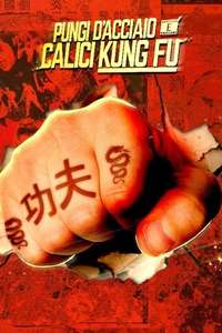 Iron Fists and Kung Fu Kicks - Poster