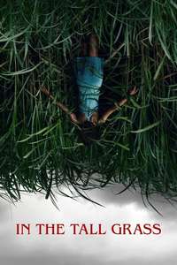 In the Tall Grass - Poster