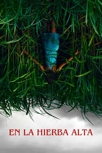 In the Tall Grass - Poster