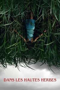 In the Tall Grass - Poster
