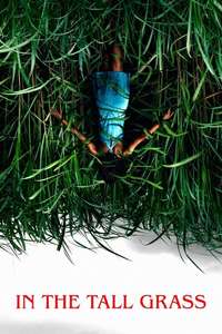In the Tall Grass - Poster