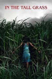 In the Tall Grass - Poster