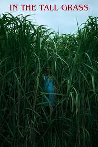 In the Tall Grass - Poster