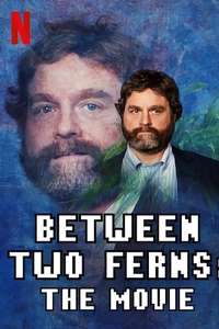 Between Two Ferns: The Movie - Poster