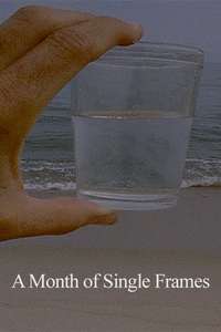 A Month of Single Frames (for Barbara Hammer) - Poster