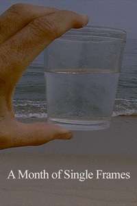A Month of Single Frames (for Barbara Hammer) - Poster