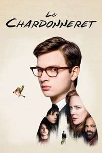 The Goldfinch - Posters