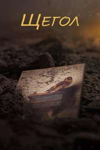 The Goldfinch - Posters
