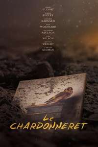 The Goldfinch - Posters