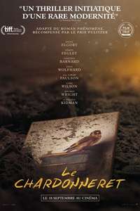 The Goldfinch - Posters