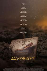 The Goldfinch - Posters