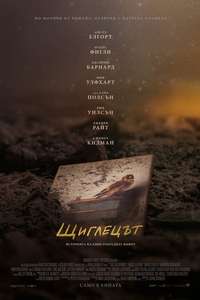 The Goldfinch - Posters