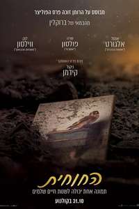 The Goldfinch - Posters
