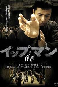 Ip Man - Poster