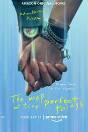 The Map of Tiny Perfect Things