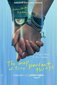 The Map of Tiny Perfect Things - Poster