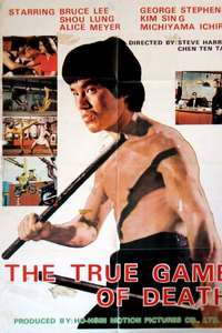 The True Game of Death - Poster