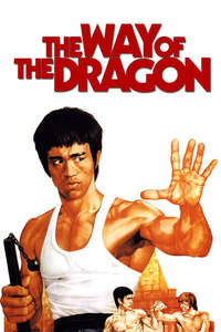The Way of the Dragon - Poster