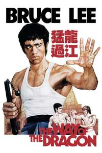 The Way of the Dragon - Poster