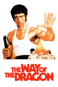 The Way of the Dragon - Poster