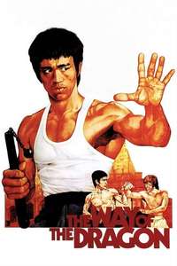 The Way of the Dragon - Poster
