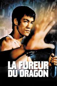The Way of the Dragon - Poster