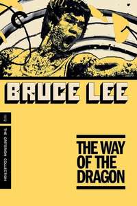 The Way of the Dragon - Poster