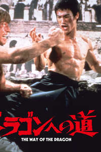 The Way of the Dragon - Poster